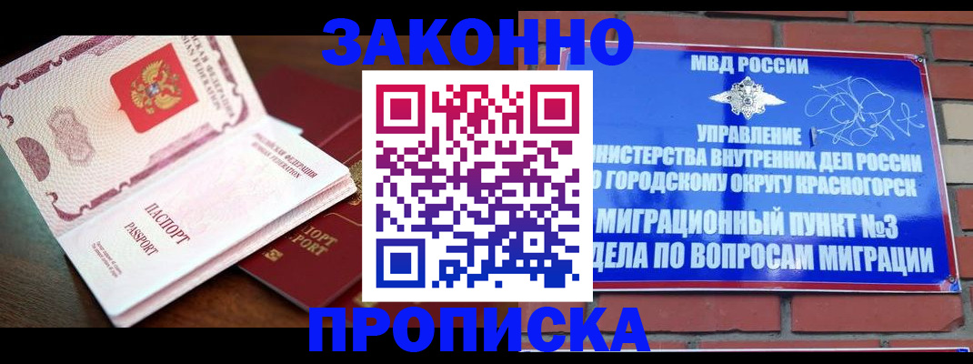 прописка для школы в Чкаловске